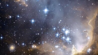 Photo of Descubre todo sobre las estrellas fijas en la astrología: qué son y cómo influyen en tu signo zodiacal